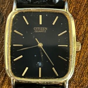 Citizen Black and Gold Watch